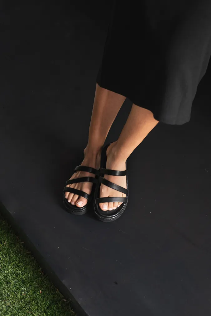 ABELIA BLACK