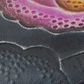 L'Artiste Annawan Shoes