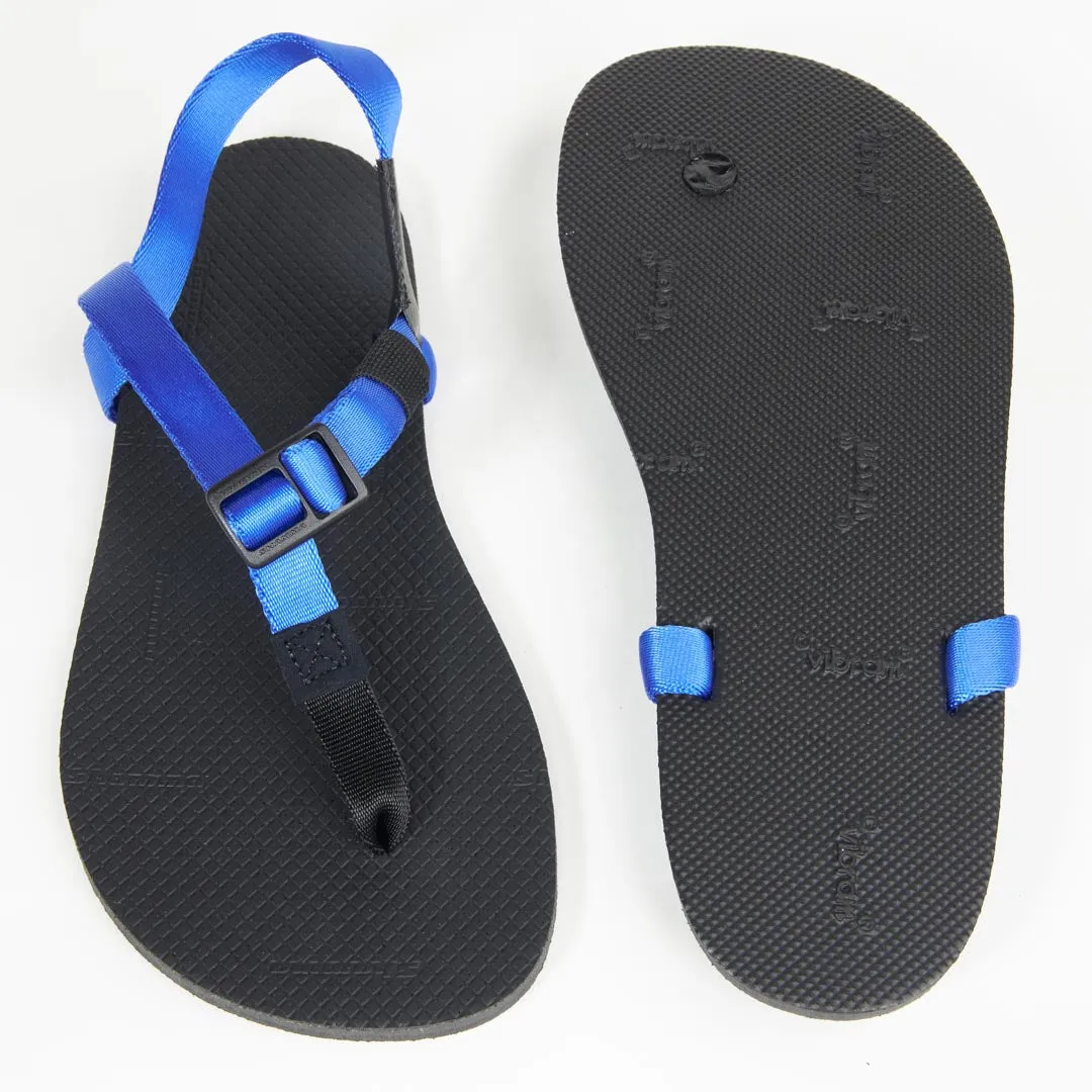 Pacific Blue Cruzers